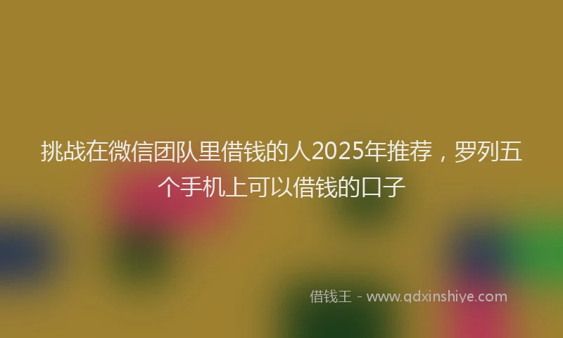 挑战在微信团队里借钱的人2025年推荐，罗列五个手机上可以借钱的口子