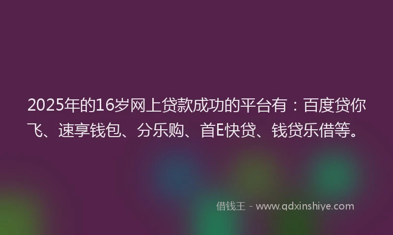 2025年的16岁网上贷款成功的平台有：百度贷你飞、速享钱包、分乐购、首E快贷、钱贷乐借等。