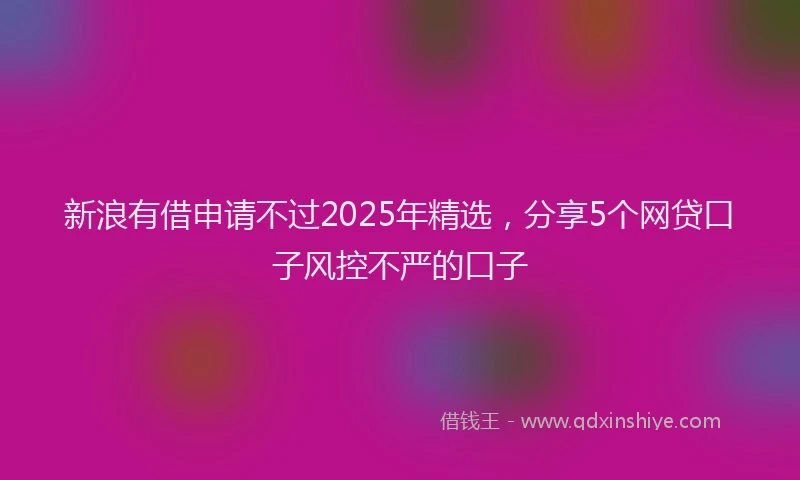 新浪有借申请不过2025年精选，分享5个网贷口子风控不严的口子