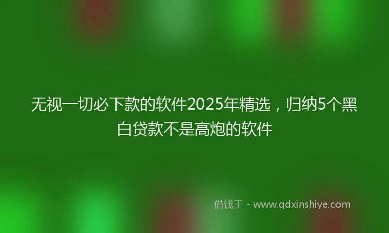 无视一切必下款的软件2025年精选，归纳5个黑白贷款不是高炮的软件