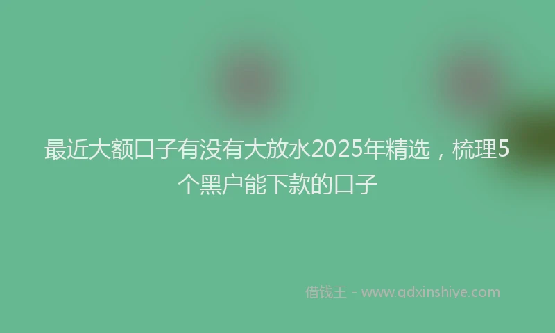 最近大额口子有没有大放水2025年精选，梳理5个黑户能下款的口子