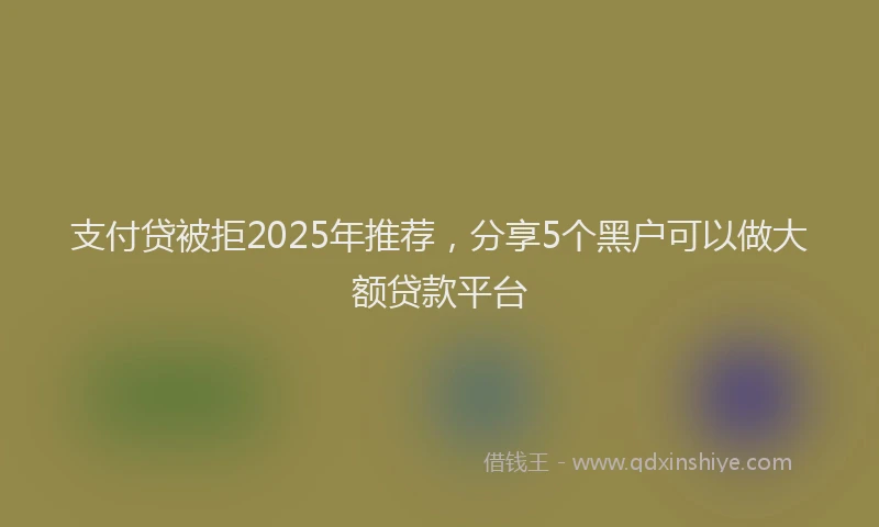 支付贷被拒2025年推荐，分享5个黑户可以做大额贷款平台