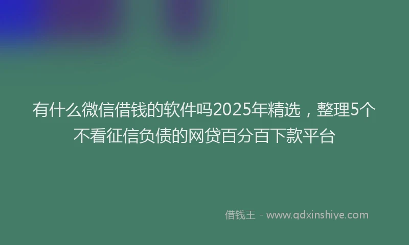 有什么微信借钱的软件吗2025年精选，整理5个不看征信负债的网贷百分百下款平台