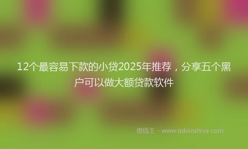 12个最容易下款的小贷2025年推荐，分享五个黑户可以做大额贷款软件