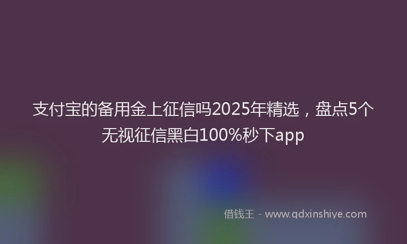 支付宝的备用金上征信吗2025年精选，盘点5个无视征信黑白100%秒下app