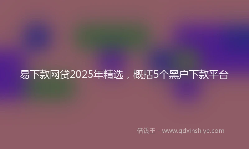 易下款网贷2025年精选，概括5个黑户下款平台