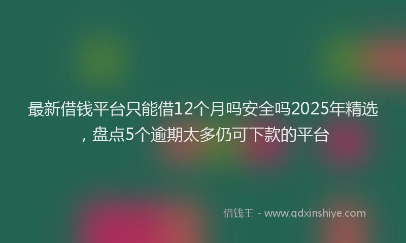 最新借钱平台只能借12个月吗安全吗2025年精选，盘点5个逾期太多仍可下款的平台