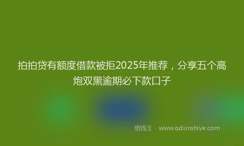 拍拍贷有额度借款被拒2025年推荐，分享五个高炮双黑逾期必下款口子