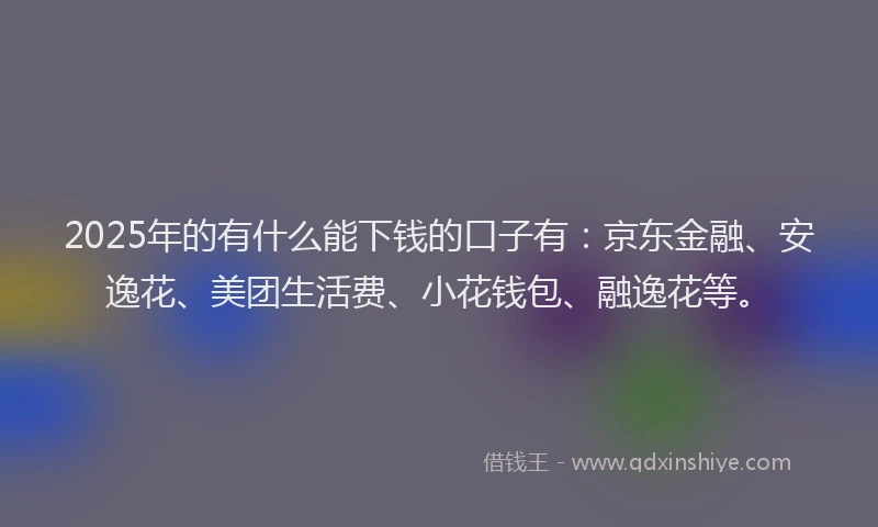 2025年的有什么能下钱的口子有：京东金融、安逸花、美团生活费、小花钱包、融逸花等。