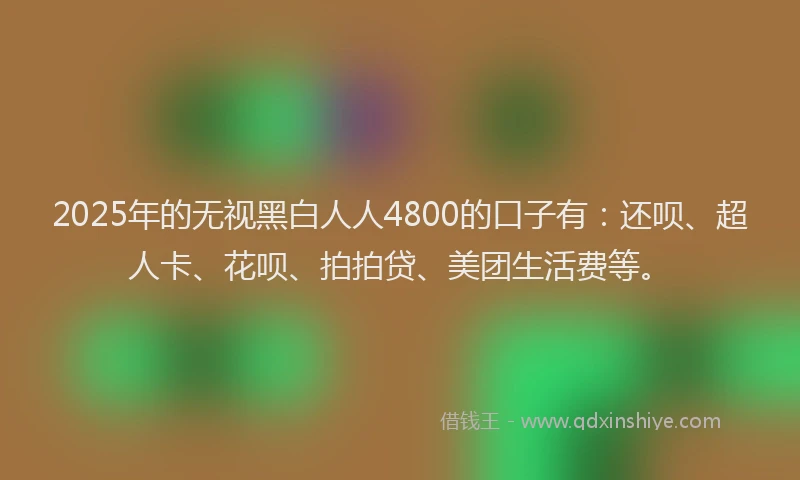 2025年的无视黑白人人4800的口子有：还呗、超人卡、花呗、拍拍贷、美团生活费等。
