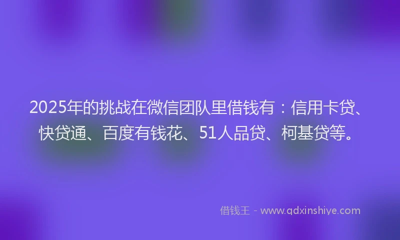 2025年的挑战在微信团队里借钱有：信用卡贷、快贷通、百度有钱花、51人品贷、柯基贷等。