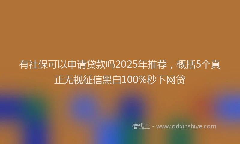 有社保可以申请贷款吗2025年推荐，概括5个真正无视征信黑白100%秒下网贷