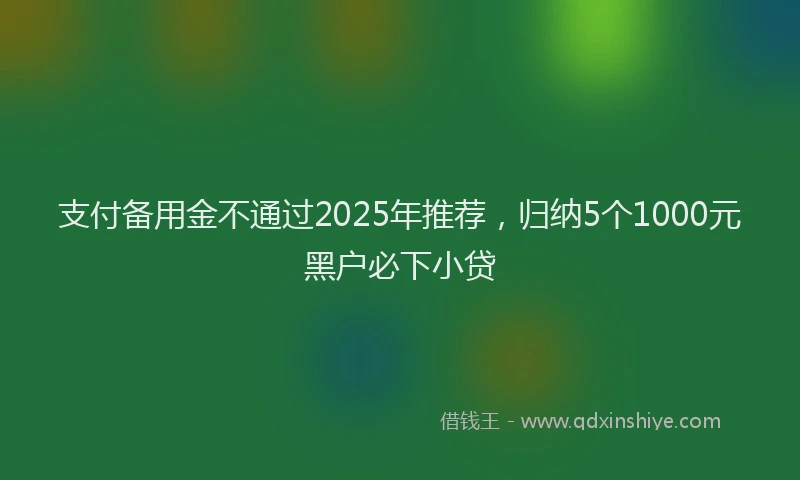 支付备用金不通过2025年推荐，归纳5个1000元黑户必下小贷