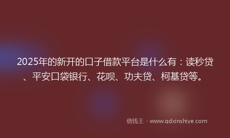 2025年的新开的口子借款平台是什么有：读秒贷、平安口袋银行、花呗、功夫贷、柯基贷等。