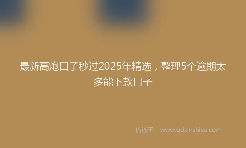 最新高炮口子秒过2025年精选，整理5个逾期太多能下款口子