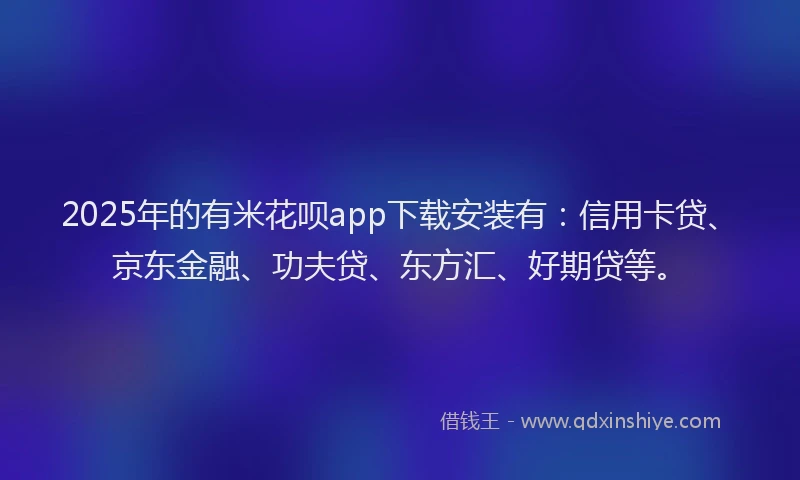2025年的有米花呗app下载安装有：信用卡贷、京东金融、功夫贷、东方汇、好期贷等。