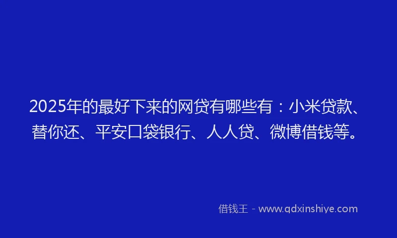 2025年的最好下来的网贷有哪些有：小米贷款、替你还、平安口袋银行、人人贷、微博借钱等。