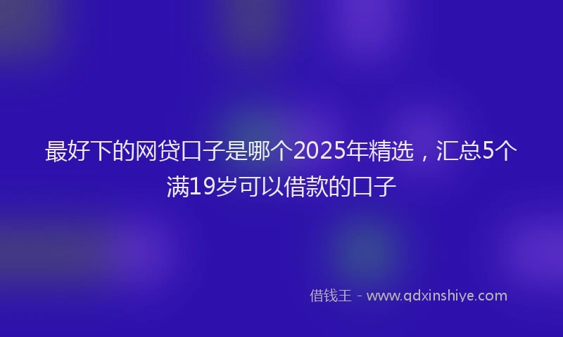 最好下的网贷口子是哪个2025年精选，汇总5个满19岁可以借款的口子