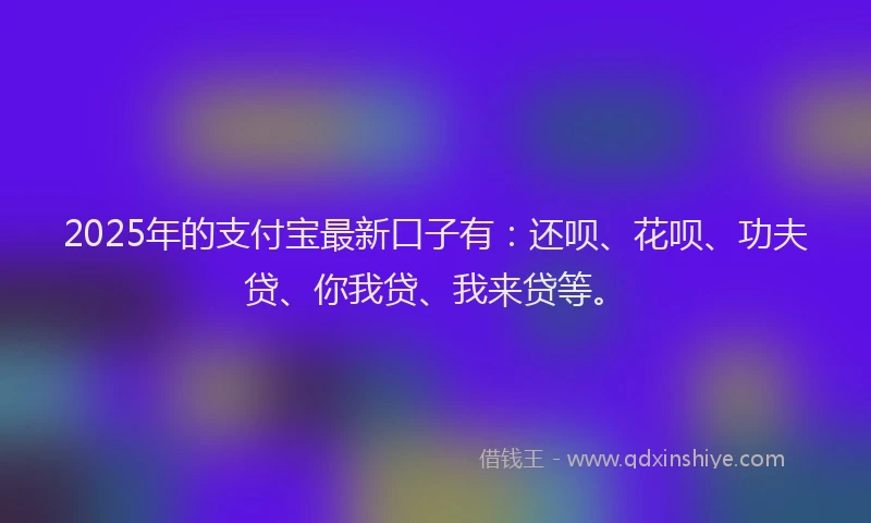 2025年的支付宝最新口子有：还呗、花呗、功夫贷、你我贷、我来贷等。
