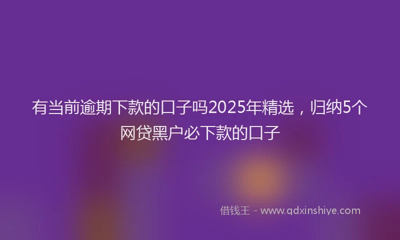 有当前逾期下款的口子吗2025年精选，归纳5个网贷黑户必下款的口子