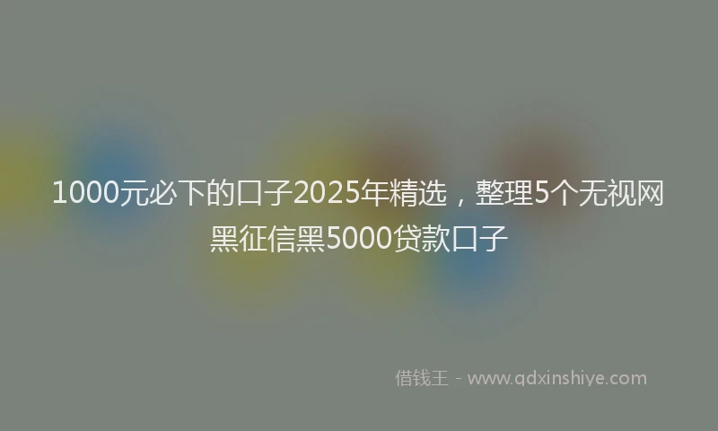 1000元必下的口子2025年精选，整理5个无视网黑征信黑5000贷款口子