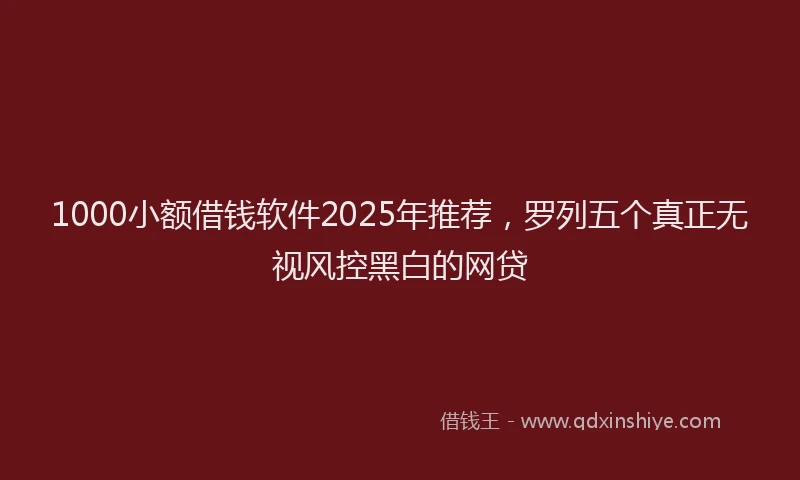 1000小额借钱软件2025年推荐，罗列五个真正无视风控黑白的网贷