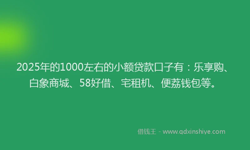 2025年的1000左右的小额贷款口子有：乐享购、白象商城、58好借、宅租机、便荔钱包等。