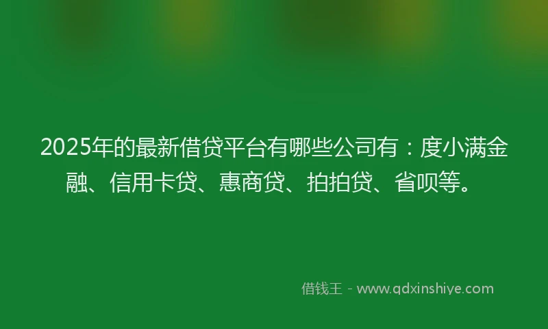 2025年的最新借贷平台有哪些公司有：度小满金融、信用卡贷、惠商贷、拍拍贷、省呗等。