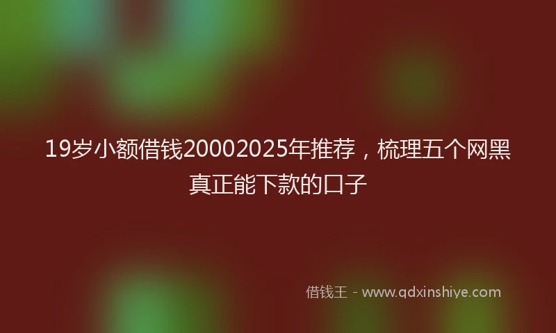 19岁小额借钱20002025年推荐，梳理五个网黑真正能下款的口子