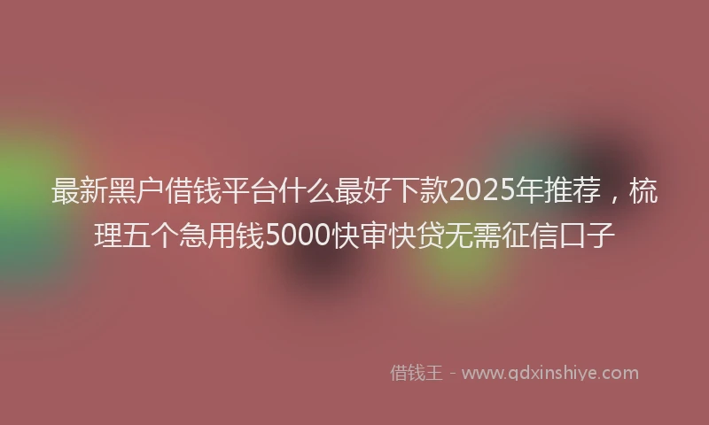 最新黑户借钱平台什么最好下款2025年推荐，梳理五个急用钱5000快审快贷无需征信口子
