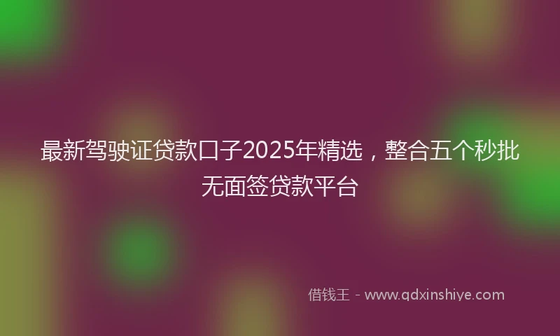 最新驾驶证贷款口子2025年精选，整合五个秒批无面签贷款平台