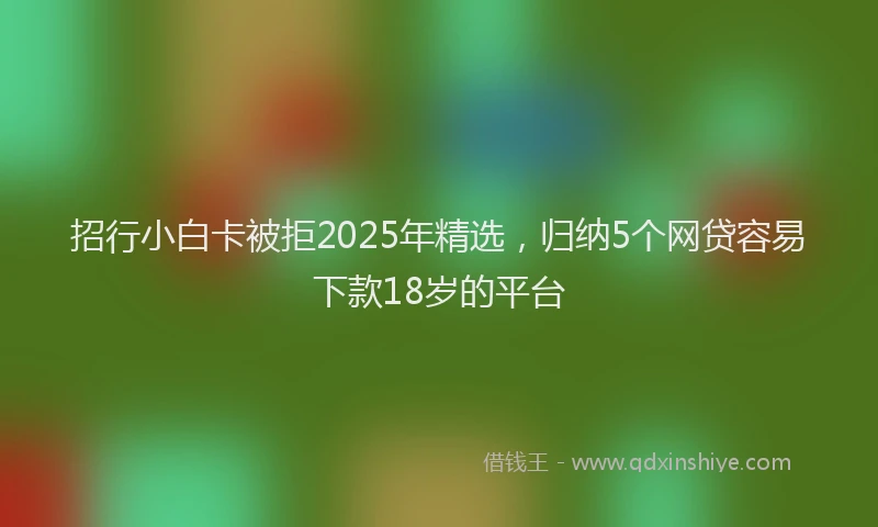 招行小白卡被拒2025年精选，归纳5个网贷容易下款18岁的平台