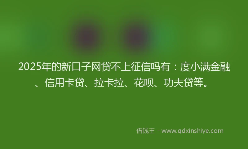 2025年的新口子网贷不上征信吗有：度小满金融、信用卡贷、拉卡拉、花呗、功夫贷等。