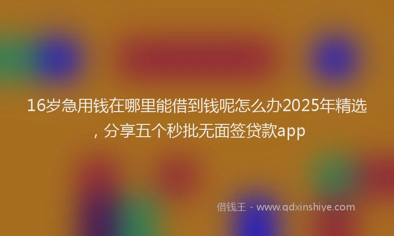 16岁急用钱在哪里能借到钱呢怎么办2025年精选，分享五个秒批无面签贷款app
