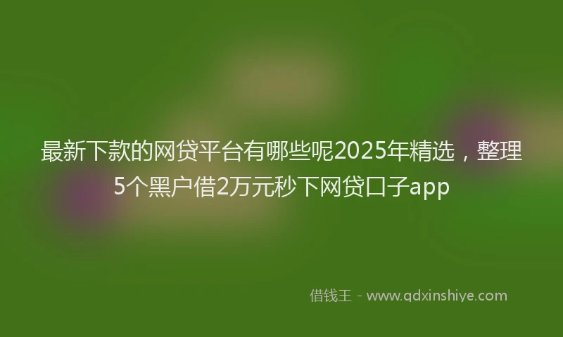 最新下款的网贷平台有哪些呢2025年精选，整理5个黑户借2万元秒下网贷口子app