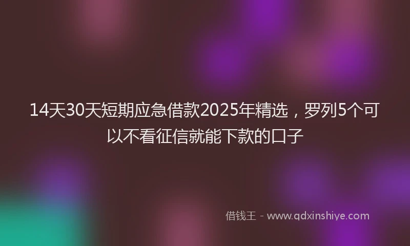 14天30天短期应急借款2025年精选，罗列5个可以不看征信就能下款的口子