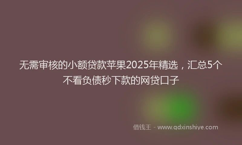 无需审核的小额贷款苹果2025年精选，汇总5个不看负债秒下款的网贷口子