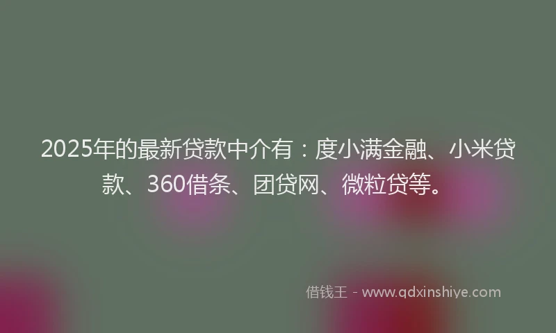 2025年的最新贷款中介有：度小满金融、小米贷款、360借条、团贷网、微粒贷等。