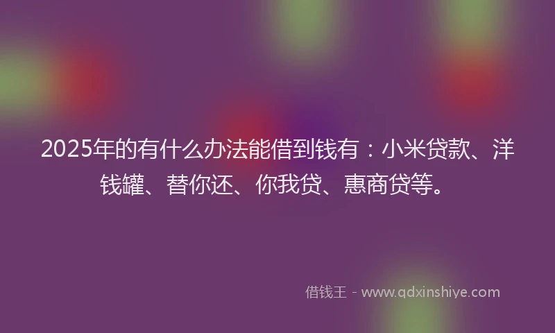 2025年的有什么办法能借到钱有：小米贷款、洋钱罐、替你还、你我贷、惠商贷等。