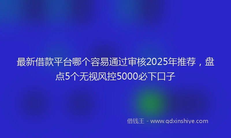 最新借款平台哪个容易通过审核2025年推荐，盘点5个无视风控5000必下口子