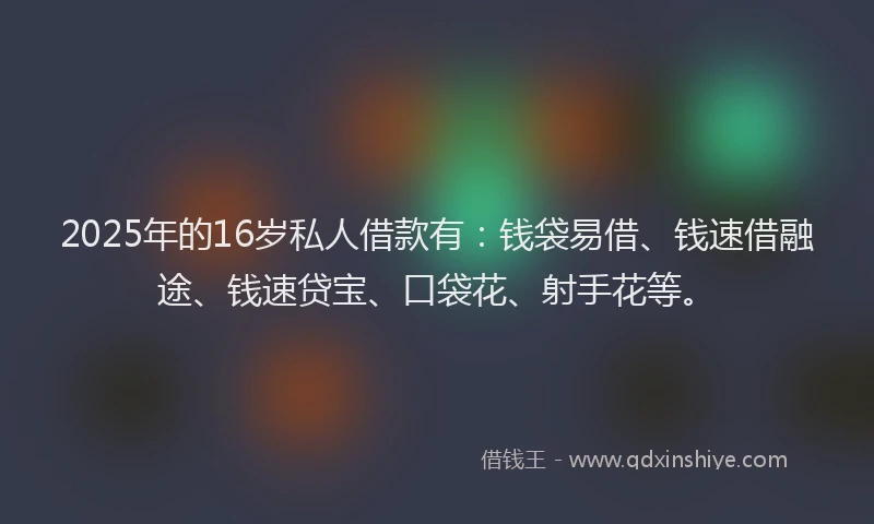 2025年的16岁私人借款有：钱袋易借、钱速借融途、钱速贷宝、口袋花、射手花等。