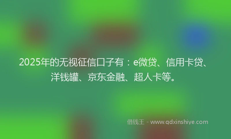 2025年的无视征信口子有：e微贷、信用卡贷、洋钱罐、京东金融、超人卡等。