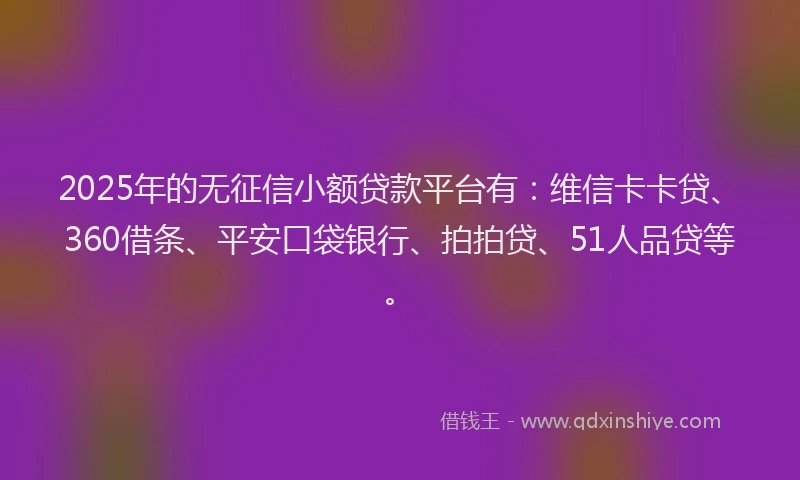 2025年的无征信小额贷款平台有：维信卡卡贷、360借条、平安口袋银行、拍拍贷、51人品贷等。
