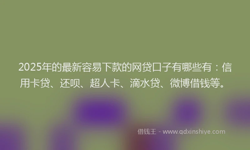 2025年的最新容易下款的网贷口子有哪些有：信用卡贷、还呗、超人卡、滴水贷、微博借钱等。