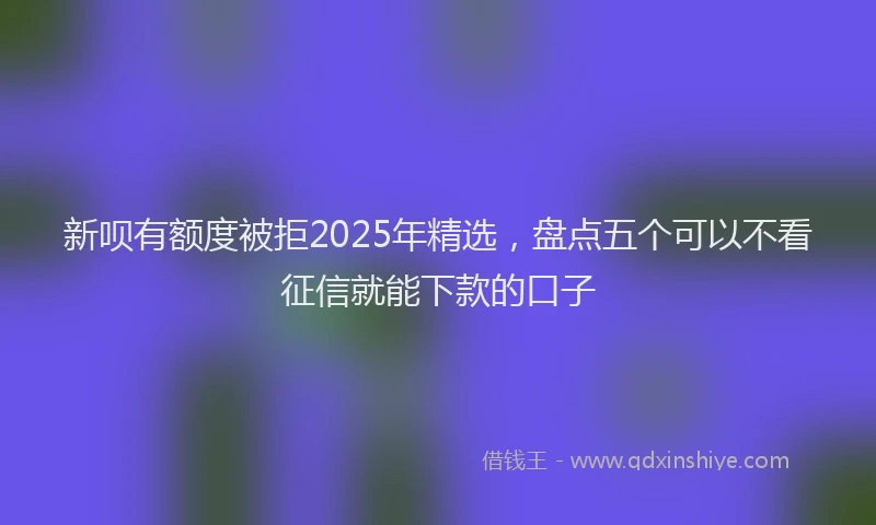 新呗有额度被拒2025年精选，盘点五个可以不看征信就能下款的口子