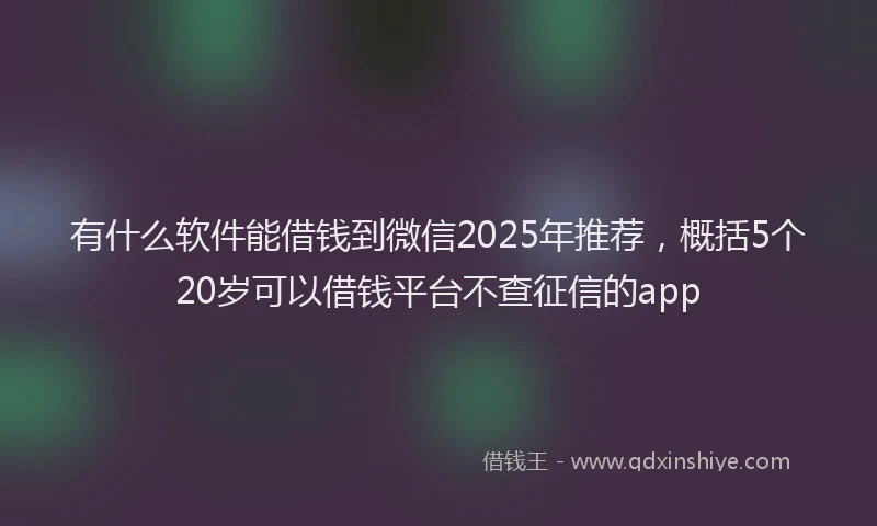 有什么软件能借钱到微信2025年推荐，概括5个20岁可以借钱平台不查征信的app