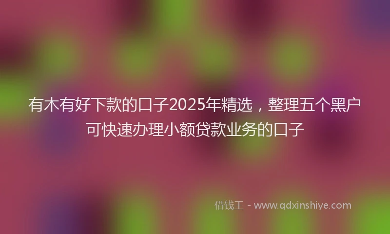 有木有好下款的口子2025年精选，整理五个黑户可快速办理小额贷款业务的口子
