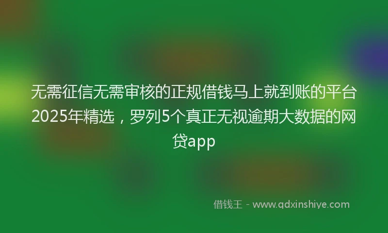 无需征信无需审核的正规借钱马上就到账的平台2025年精选，罗列5个真正无视逾期大数据的网贷app