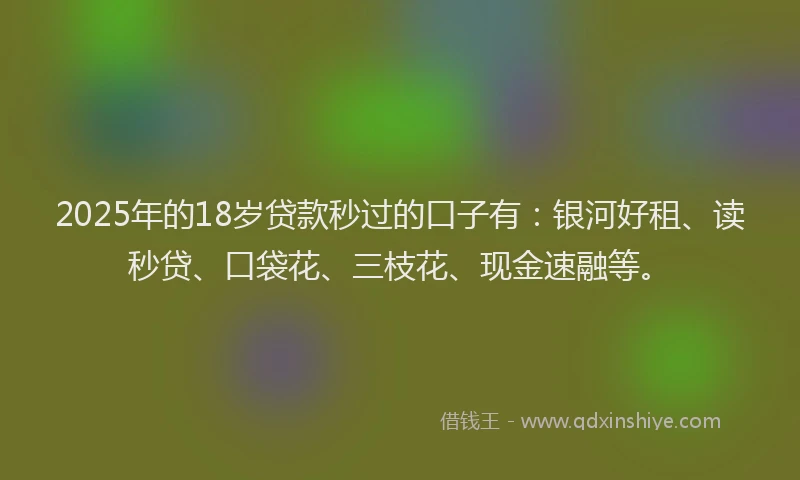 2025年的18岁贷款秒过的口子有：银河好租、读秒贷、口袋花、三枝花、现金速融等。