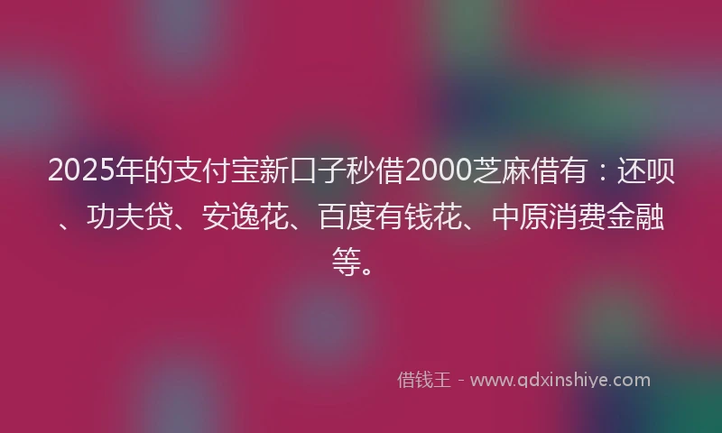 2025年的支付宝新口子秒借2000芝麻借有：还呗、功夫贷、安逸花、百度有钱花、中原消费金融等。